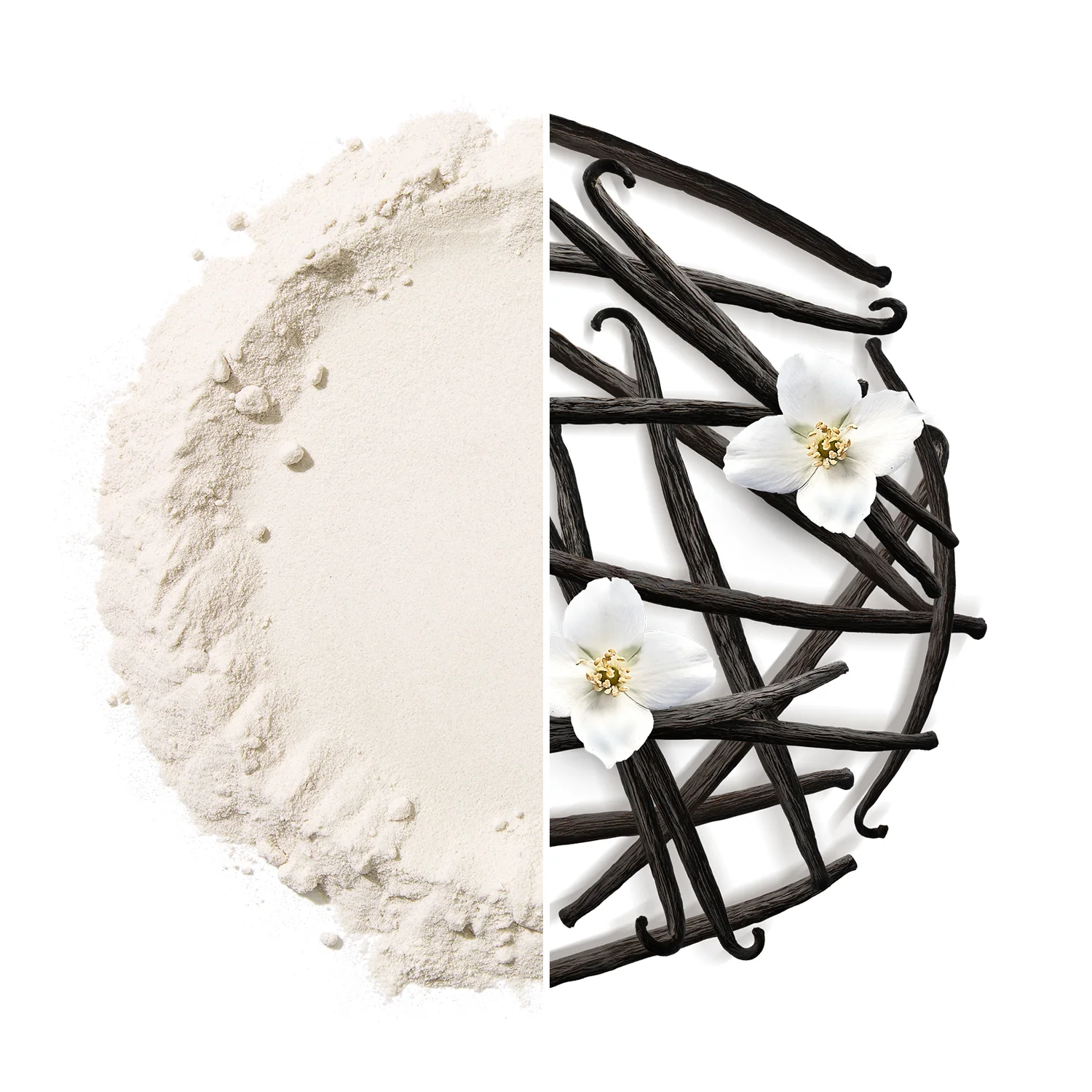Fit Pro Whey Protein (2.0lbs) - Image 19