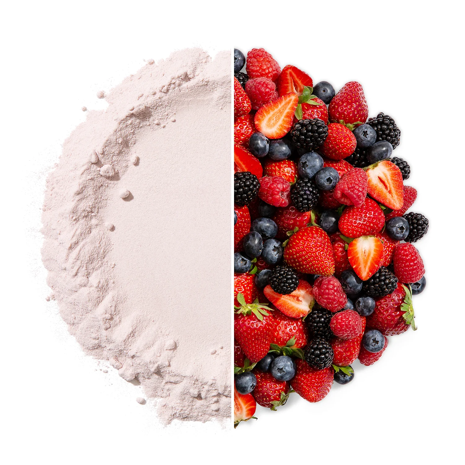 Fit Pro Whey Protein (2.0lbs) - Image 25